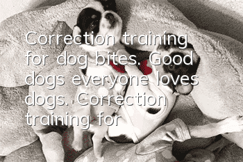 Correction training for dog bites. Good dogs, everyone loves dogs. Correction training for bad habits.