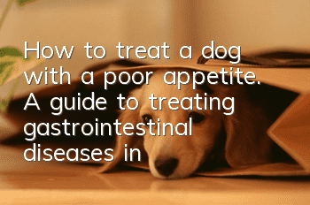 How to treat a dog with a poor appetite. A guide to treating gastrointestinal diseases in dogs with a perfect appetite.