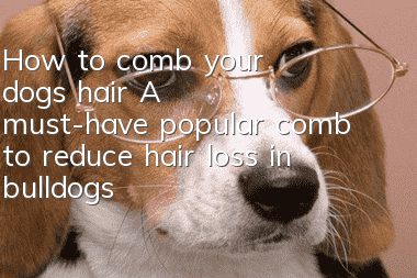 How to comb your dog’s hair? A must-have popular comb to reduce hair loss in bulldogs