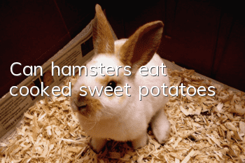 Can hamsters eat cooked sweet potatoes?