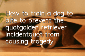 How to train a dog to bite to prevent the "golden retriever incident" from causing tragedy