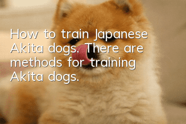 How to train Japanese Akita dogs. There are methods for training Akita dogs.