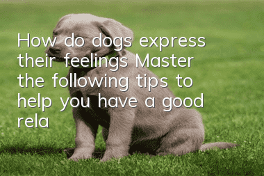 How do dogs express their feelings? Master the following tips to help you have a good relationship with dogs