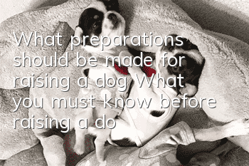 What preparations should be made for raising a dog? What you must know before raising a dog!