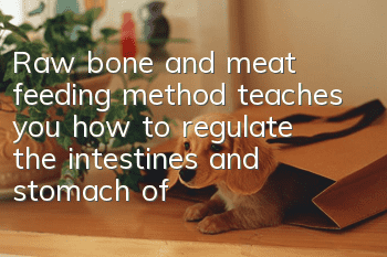 Raw bone and meat feeding method teaches you how to regulate the intestines and stomach of dogs