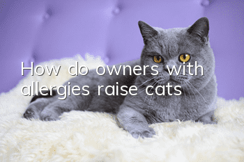 How do owners with allergies raise cats?