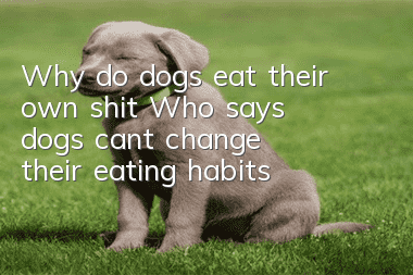 Why do dogs eat their own shit? Who says dogs can’t change their eating habits?