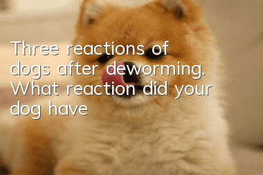 Three reactions of dogs after deworming. What reaction did your dog have?