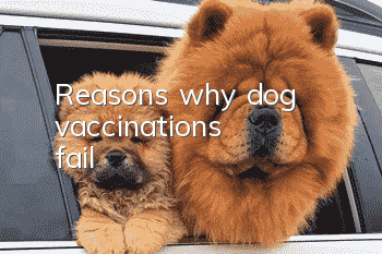 Reasons why dog vaccinations fail