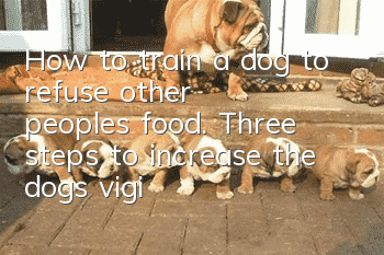 How to train a dog to refuse other people’s food. Three steps to increase the dog’s vigilance.