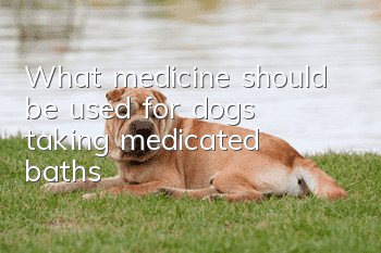 What medicine should be used for dogs taking medicated baths?
