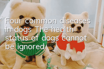 Four common diseases in dogs The health status of dogs cannot be ignored