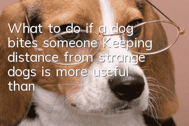 What to do if a dog bites someone? Keeping distance from strange dogs is more useful than anything else.