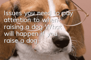 Issues you need to pay attention to when raising a dog What will happen if you raise a dog incorrectly?