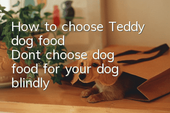 How to choose Teddy dog food? Don’t choose dog food for your dog blindly