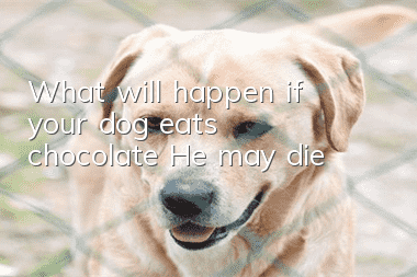 What will happen if your dog eats chocolate? He may die!