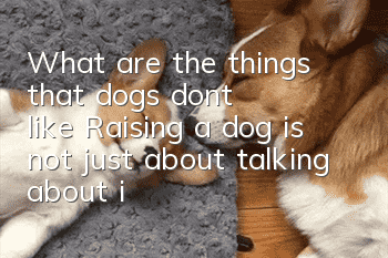 What are the things that dogs don’t like? Raising a dog is not just about talking about it.