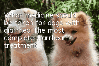 What medicine should be taken for dogs with diarrhea? The most complete diarrhea treatment manual