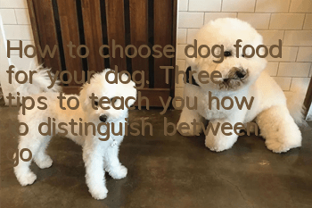 How to choose dog food for your dog. Three tips to teach you how to distinguish between good and bad dog food.