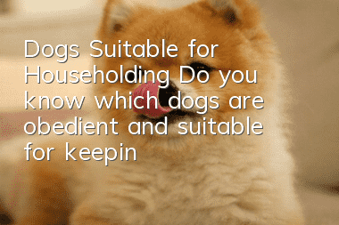 Dogs Suitable for Householding Do you know which dogs are obedient and suitable for keeping at home?