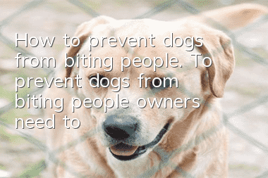 How to prevent dogs from biting people. To prevent dogs from biting people, owners need to take radical measures!