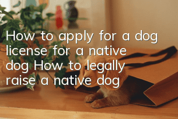 How to apply for a dog license for a native dog How to legally raise a native dog