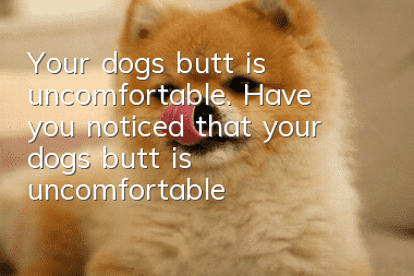 Your dog’s butt is uncomfortable. Have you noticed that your dog’s butt is uncomfortable and rubs against the ground?