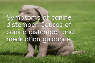 Symptoms of canine distemper Causes of canine distemper and medication guidance