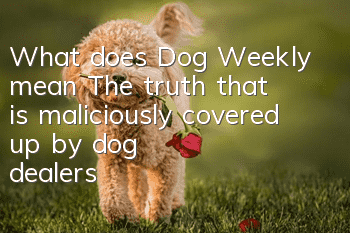 What does Dog Weekly mean? The truth that is maliciously covered up by dog dealers