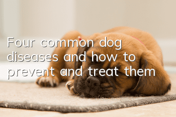 Four common dog diseases and how to prevent and treat them