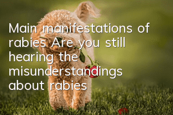 Main manifestations of rabies Are you still hearing the misunderstandings about rabies?