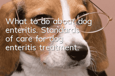 What to do about dog enteritis. Standards of care for dog enteritis treatment.