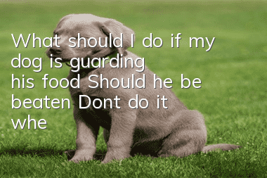 What should I do if my dog is guarding his food? Should he be beaten? Don’t do it when training your dog to guard his food.