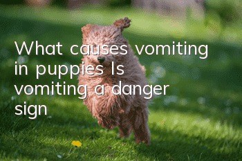 What causes vomiting in puppies? Is vomiting a danger sign?