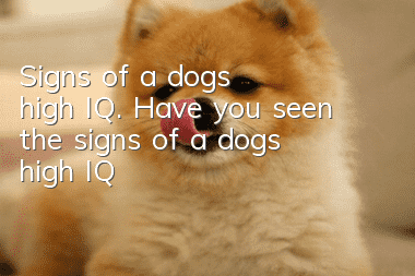 Signs of a dog’s high IQ. Have you seen the signs of a dog’s high IQ?