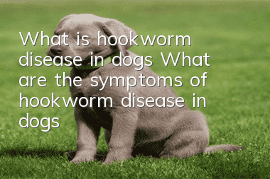 What is hookworm disease in dogs? What are the symptoms of hookworm disease in dogs?