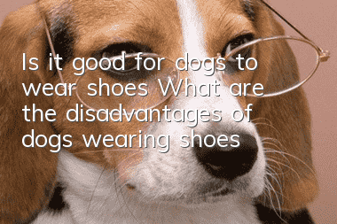 Is it good for dogs to wear shoes? What are the disadvantages of dogs wearing shoes?