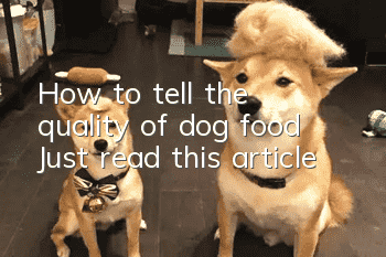 How to tell the quality of dog food? Just read this article