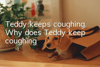 Teddy keeps coughing. Why does Teddy keep coughing?