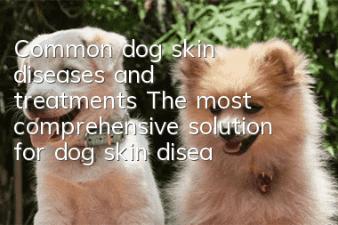 Common dog skin diseases and treatments The most comprehensive solution for dog skin diseases