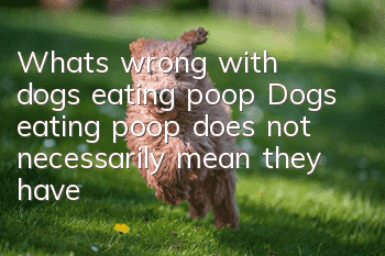 What’s wrong with dogs eating poop? Dogs eating poop does not necessarily mean they have pica