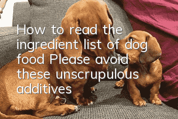 How to read the ingredient list of dog food? Please avoid these unscrupulous additives