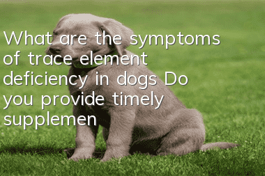 What are the symptoms of trace element deficiency in dogs? Do you provide timely supplements to your dog?