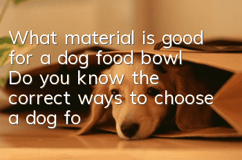 What material is good for a dog food bowl? Do you know the correct ways to choose a dog food bowl?