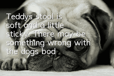 Teddy's stool is soft and a little sticky. There may be something wrong with the dog's body.