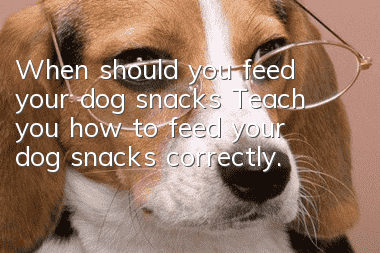 When should you feed your dog snacks? Teach you how to feed your dog snacks correctly.