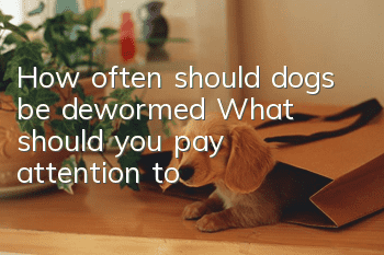 How often should dogs be dewormed? What should you pay attention to?