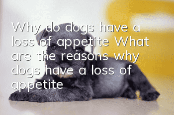 Why do dogs have a loss of appetite? What are the reasons why dogs have a loss of appetite?