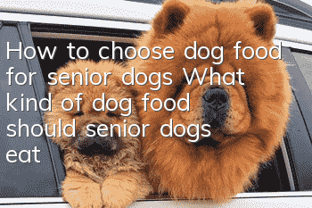 How to choose dog food for senior dogs? What kind of dog food should senior dogs eat?