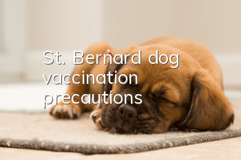 St. Bernard dog vaccination precautions